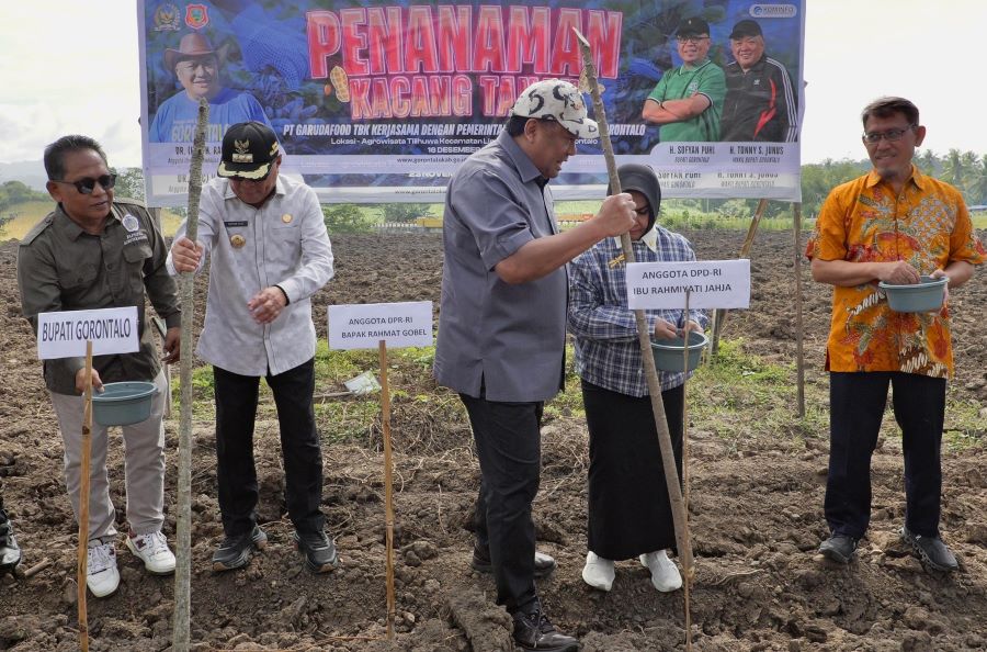 Garudafood Dukung Pertanian Kacang Tanah di Gorontalo